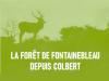 Silhouette d'un cerf en foret et titre "La forêt de Fontainebleau depuis Colbert"
