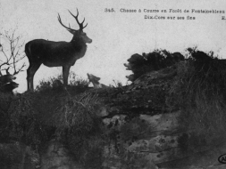 Agrandir l’image
