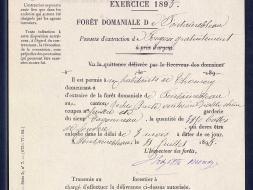 Agrandir l’image