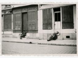 Agrandir l’image