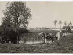Agrandir l’image