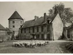 Agrandir l’image