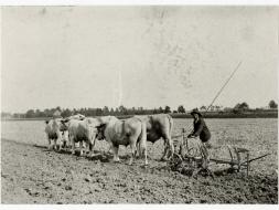 Agrandir l’image