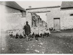 Agrandir l’image