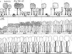 Agrandir l’image