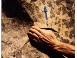 Agrandir l’image