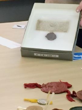 Jeunes observant une charte scellée
