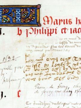 Vue d'un détail d'une page d'un manuscrit avec une lettrine et des écritures gothiques, cursifs