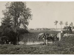 Agrandir l’image