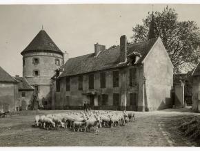 Agrandir l’image