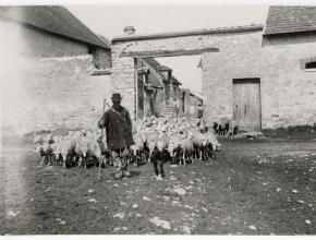 Agrandir l’image