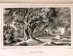 Agrandir l’image