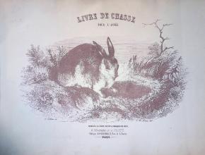 Agrandir l’image