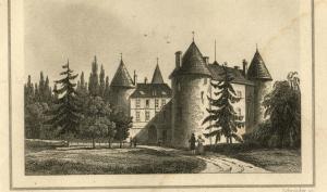 Château de La Grange-Bléneau, vue d'ensemble