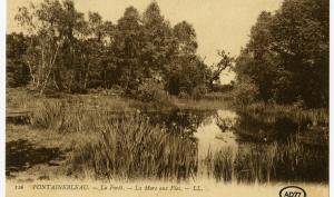 La Mare aux Fées en forêt de Fontainebleau