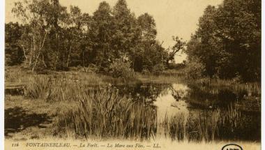 La Mare aux Fées en forêt de Fontainebleau